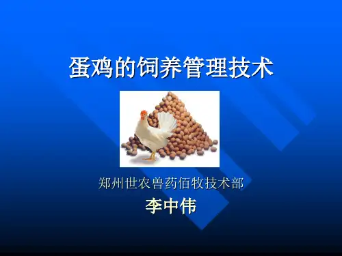 蛋鸡的饲养管理技术(xiugai).ppt