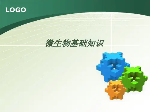 微生物学基础知识 