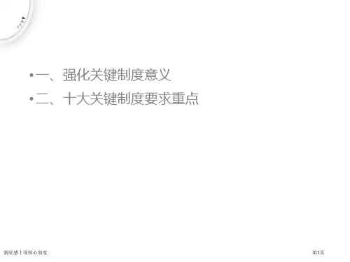 新院感十项核心制度