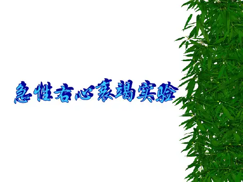 病理生理实验：急性右心衰