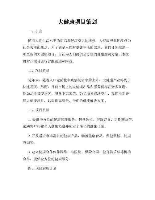 大健康项目策划