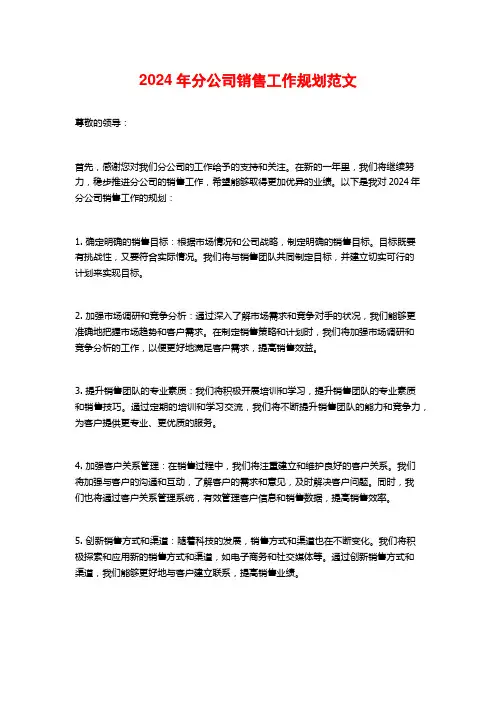 2024年分公司销售工作规划范文