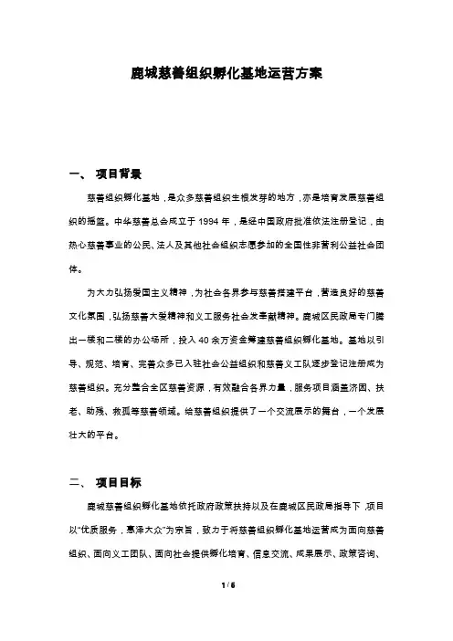 慈善组织孵化项目运营