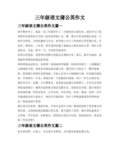 三年级语文蒲公英作文