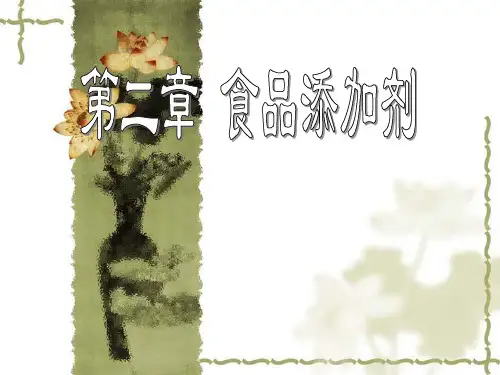 第二章 食品添加剂(1)教案