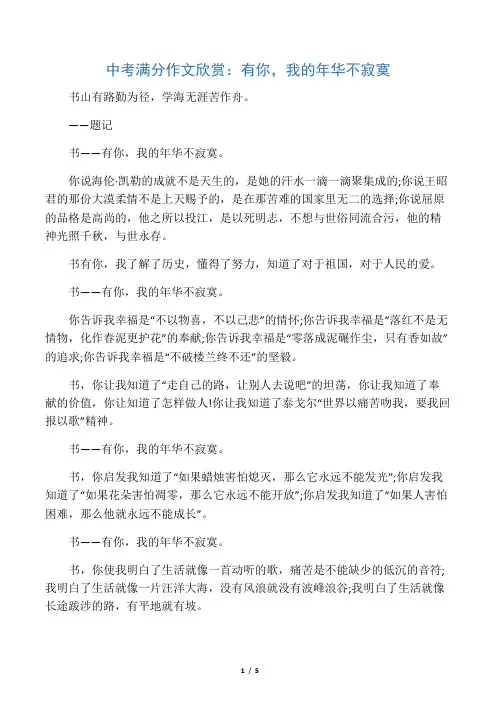 中考满分作文：有你,我的年华不寂寞