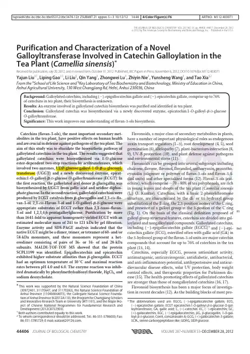 Purification and Characterization