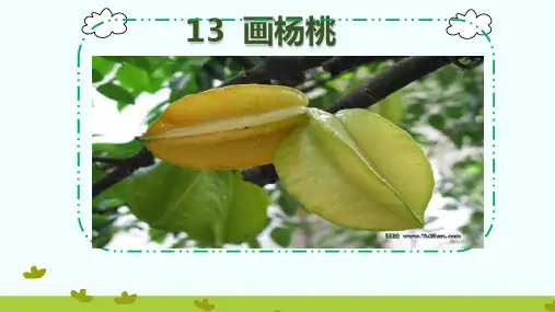 部编版画杨桃PPT课件完美版