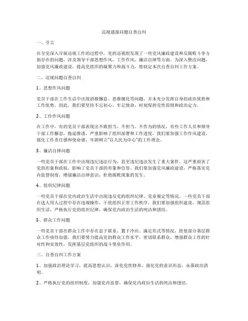 巡视通报问题自查自纠