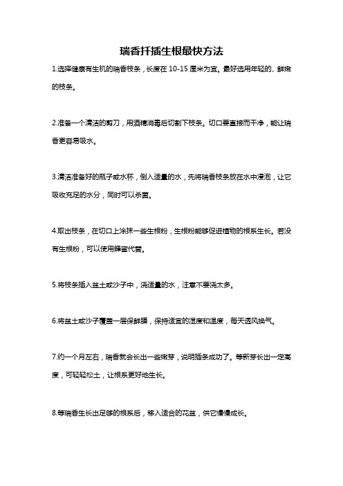 瑞香扦插生根最快方法