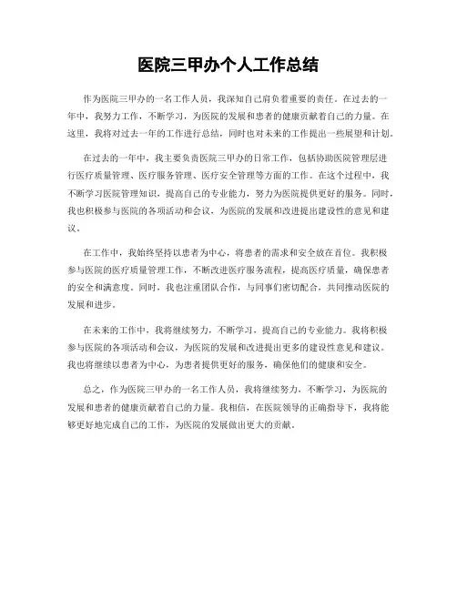 医院三甲办个人工作总结