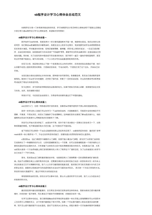 vb程序设计学习心得体会总结范文