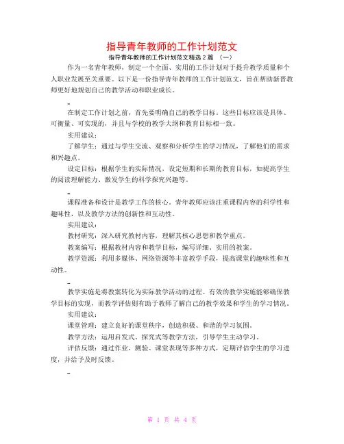 指导青年教师的工作计划范文2篇