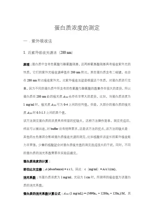 蛋白质浓度的测定(精华)