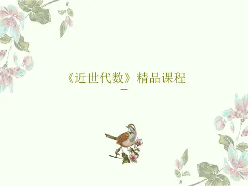 《近世代数》精品课程共25页PPT