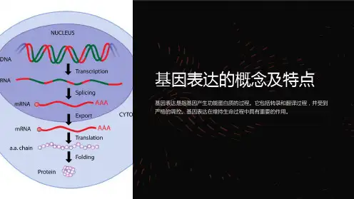 基因表达的概念及特点