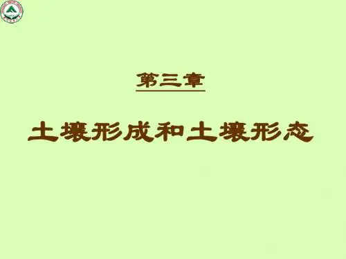 3第三章 土壤形成和土壤形态-2学时 2