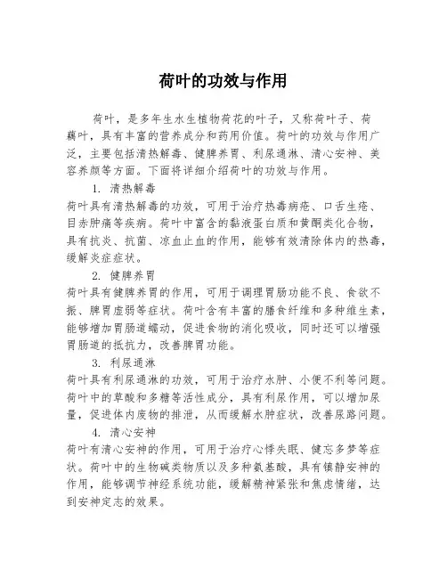 荷叶的功效与作用