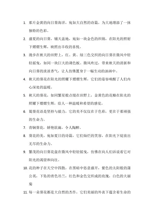 描写天竺葵的优美句子