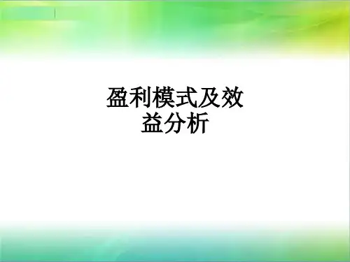 盈利模式及效益分析ppt课件