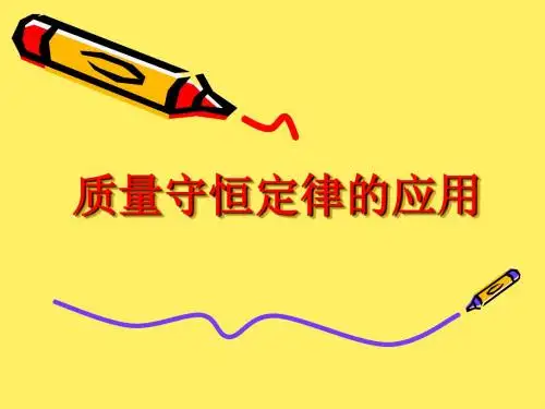 质量守恒定律的应用