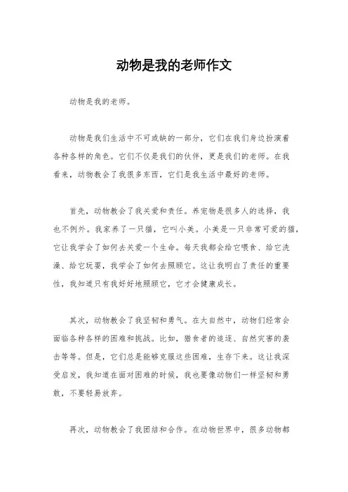 动物是我的老师作文