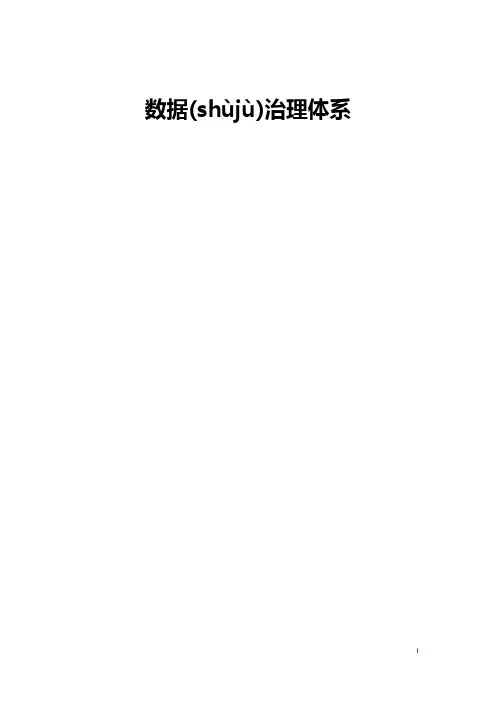 大数据治理体系62