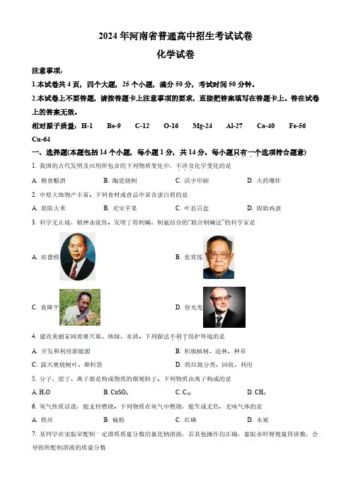2024年河南省中考化学真题(含解析)