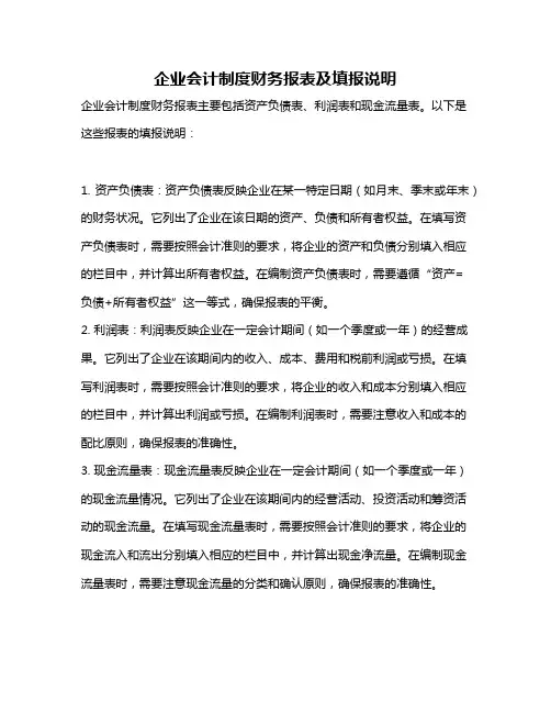 企业会计制度财务报表及填报说明