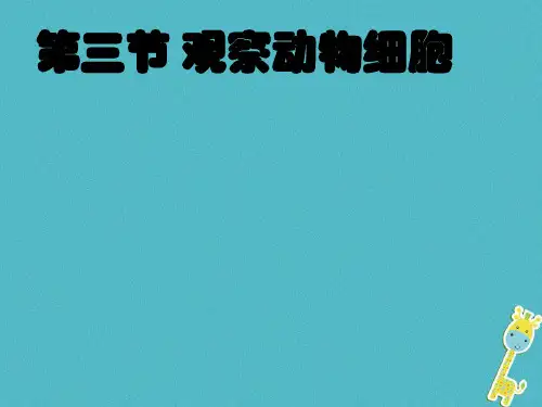 七年级生物上册第二单元第一章第三节动物细胞课件新人教版本