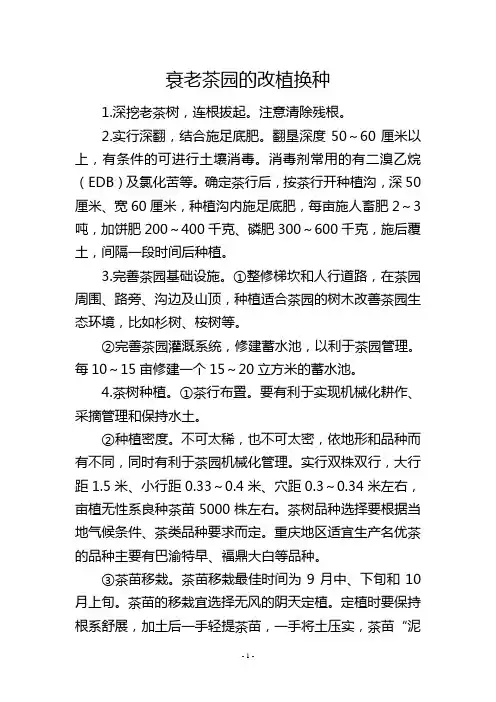 衰老茶园的改植换种