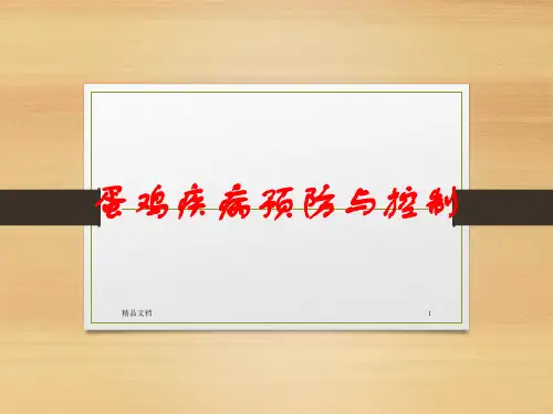 蛋鸡疾病预防和控制ppt课件