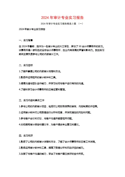 2024年审计专业实习报告3篇