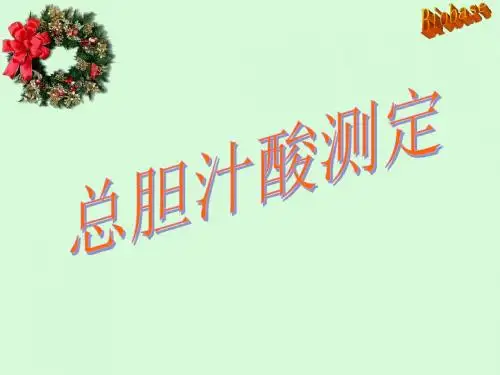 总胆汁酸检测-PPT文档资料