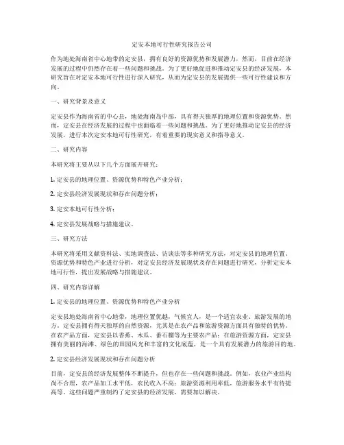 定安本地可行性研究报告公司