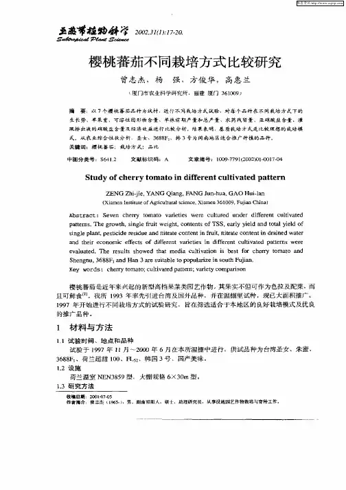 樱桃蕃茄不同栽培方式比较研究