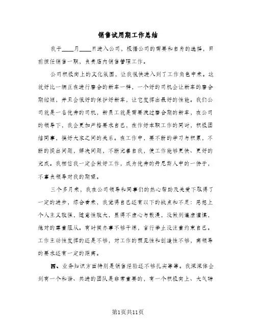 销售试用期工作总结（5篇）