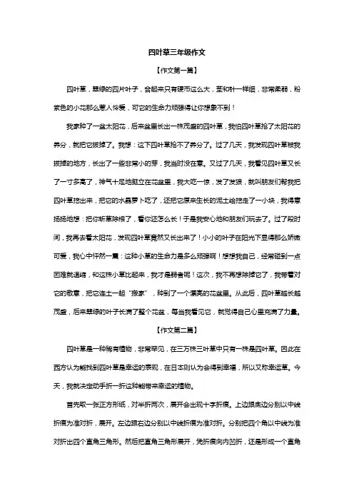 四叶草三年级作文
