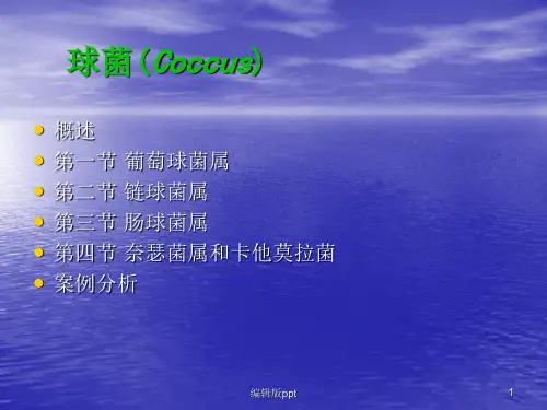 球菌医学PPT