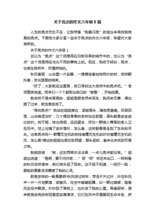 关于亮点的作文六年级5篇