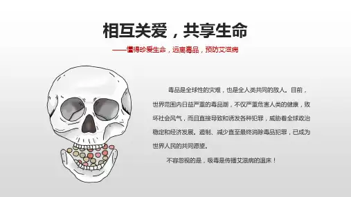 禁毒防艾滋病主题班会课件共24张PPT
