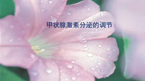 【新教材】甲状腺激素分泌的调节-高中生物学选择性必修1(新教材同步课件)