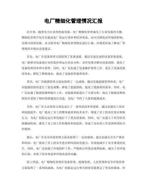 电厂精细化管理情况汇报