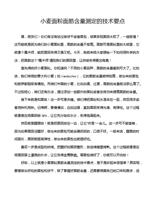 小麦面粉面筋含量测定的技术要点