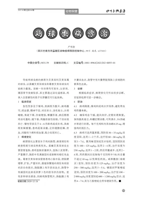 鸡球虫病诊治