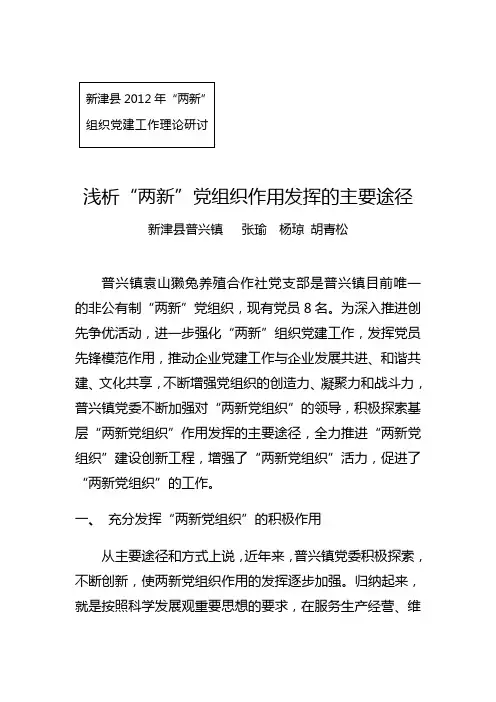 普兴镇：浅析“两新”党组织作用发挥的主要途径