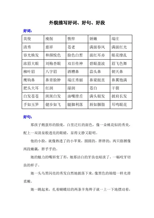 描写外貌的好词好句好段