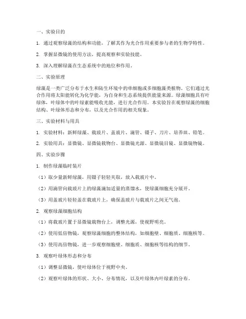 绿藻观察实验报告