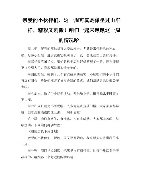 服装店长一周总结和下周计划