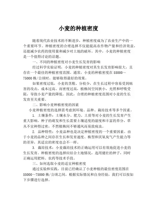 小麦的种植密度